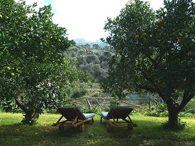Fornalutx Petit Hotel - Bed & Breakfast
