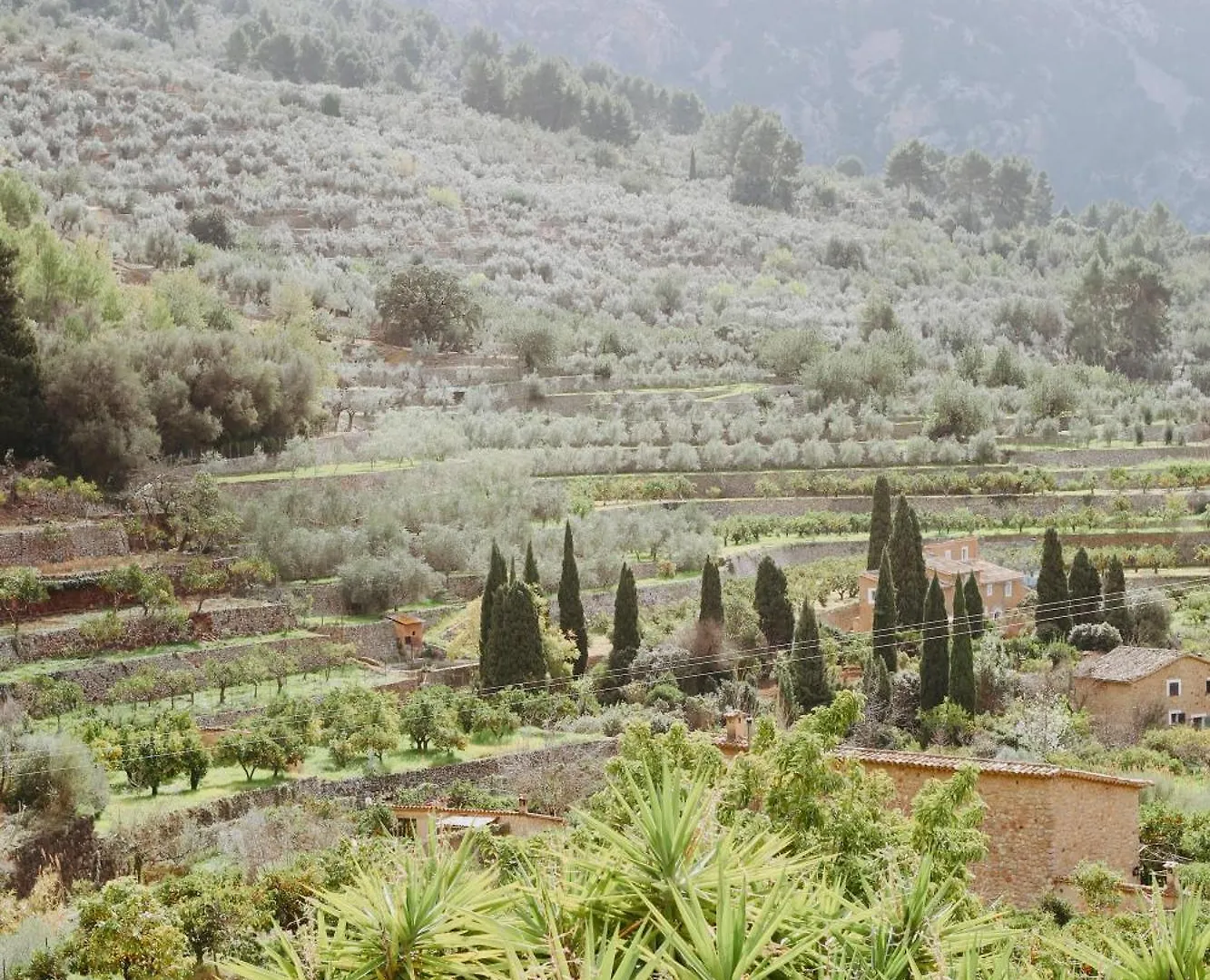 Fornalutx Petit Hotel - Bed & Breakfast